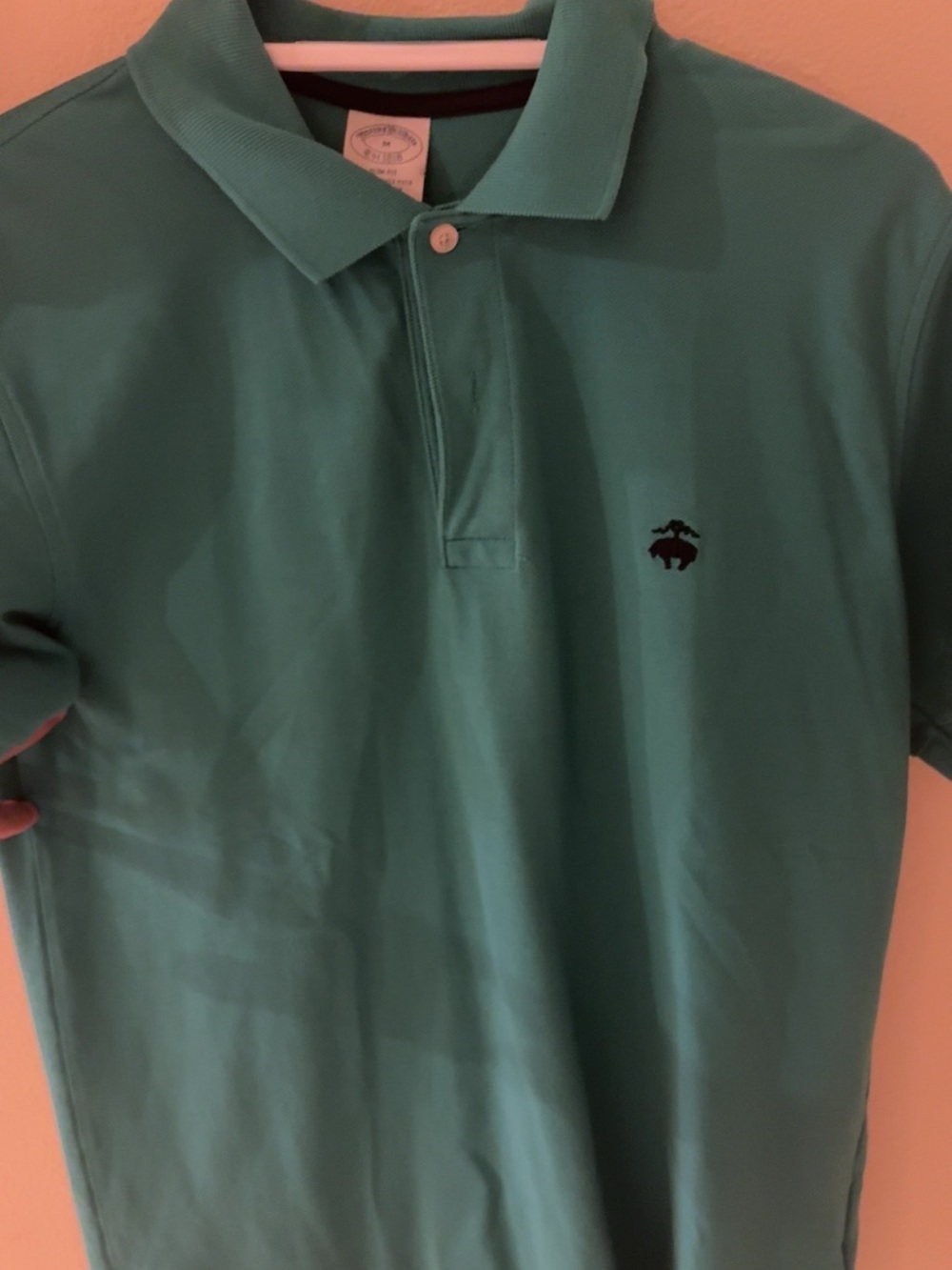 Brooks Brothers Teal Polo Shirt with Embroidered Logo